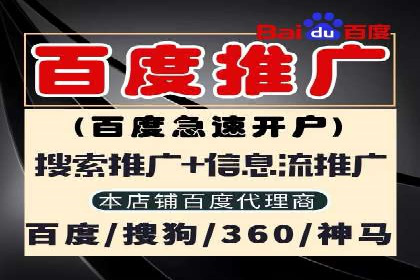 网络推广与竞价广告：双管齐下的策略案例